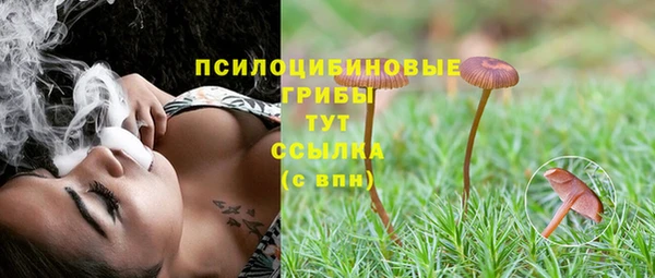 соль курить ск Алзамай